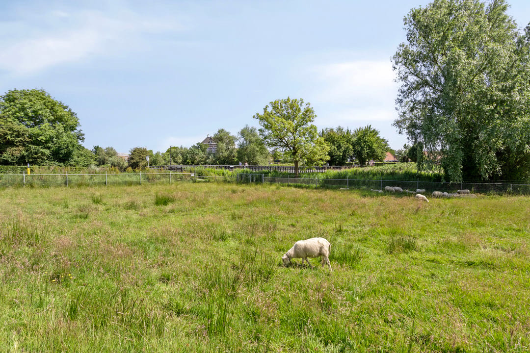 Photo 46 of Meeuwenlaan 57