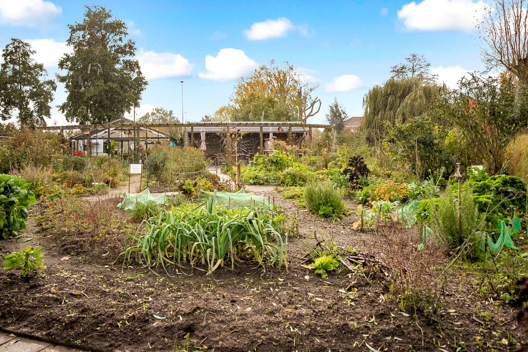 Foto 26 van Primulastraat 4