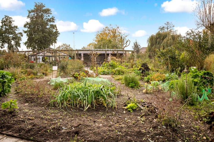 Foto 26 van Primulastraat 4