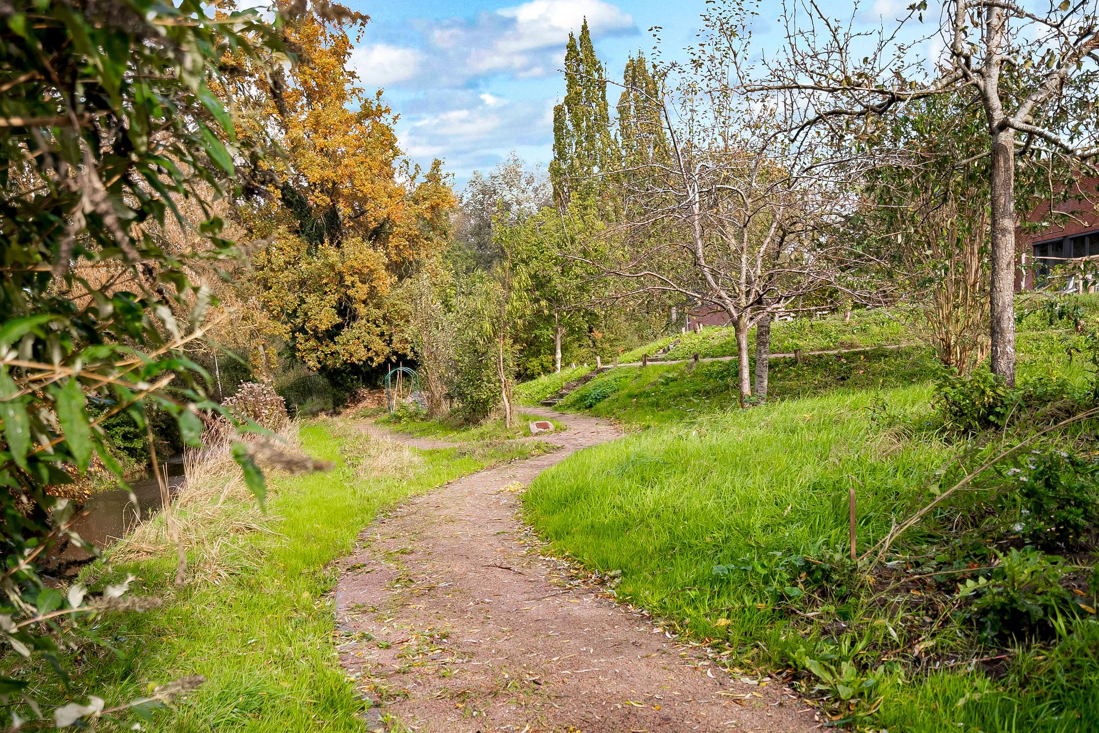 Foto 27 van Primulastraat 4