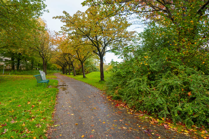 Foto 21 van Wessel Ilckenstraat 7