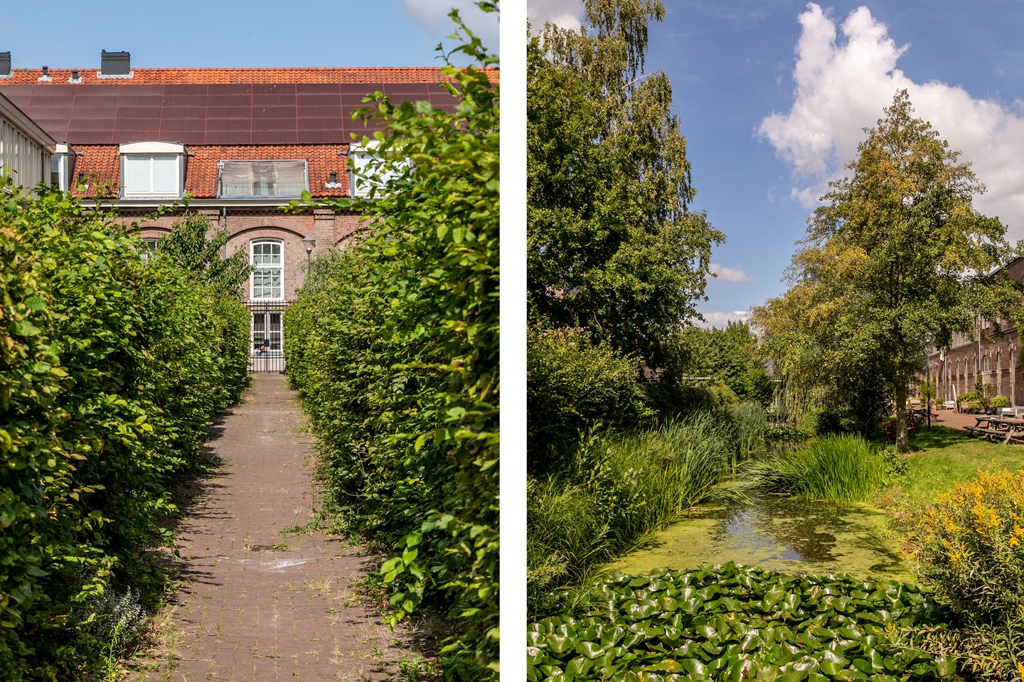 Foto 35 van Ritmeesterstraat 9