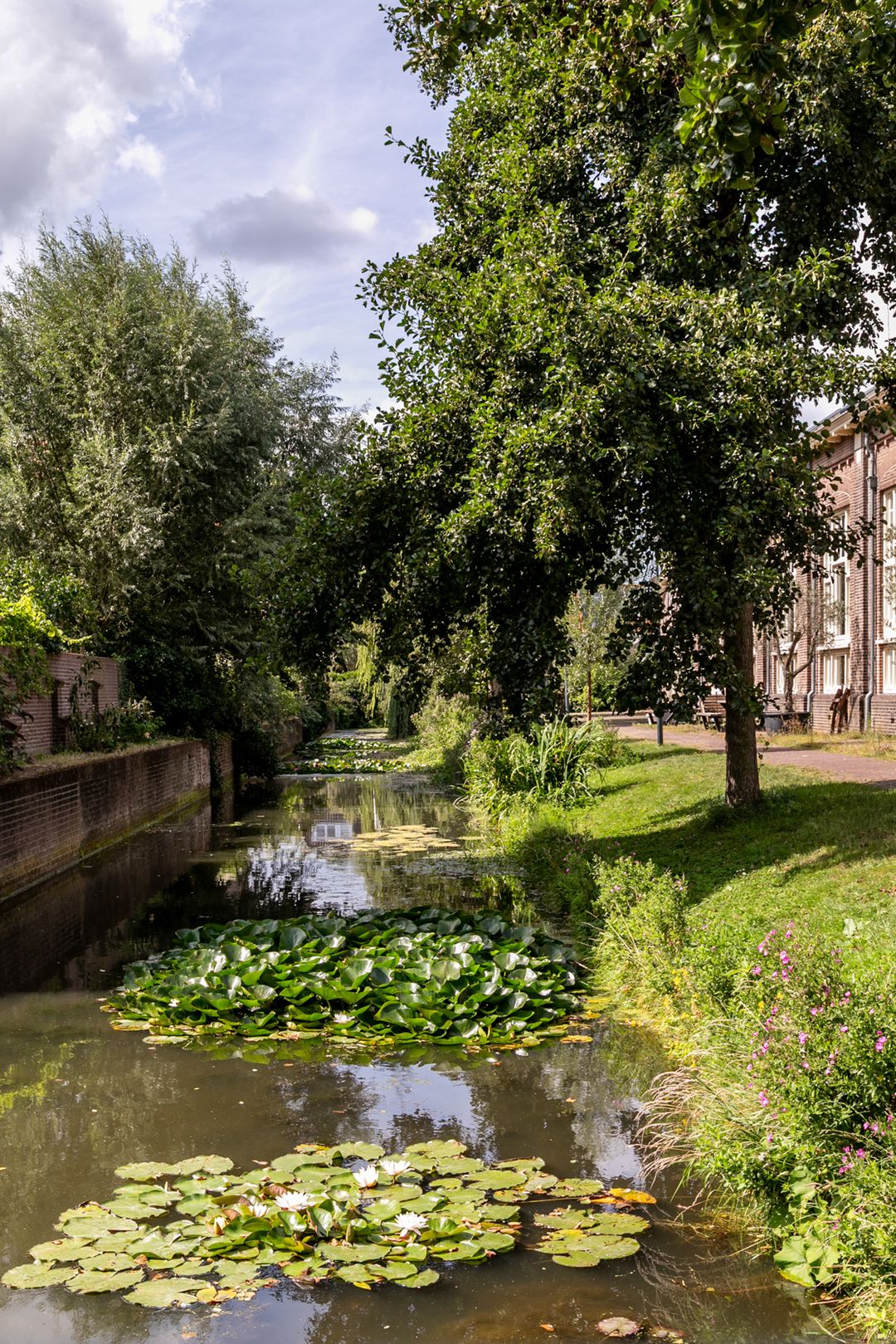 Foto 37 van Ritmeesterstraat 9