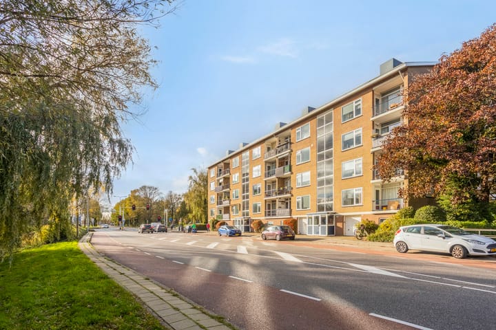 Foto 23 van Ruysdaelstraat 150