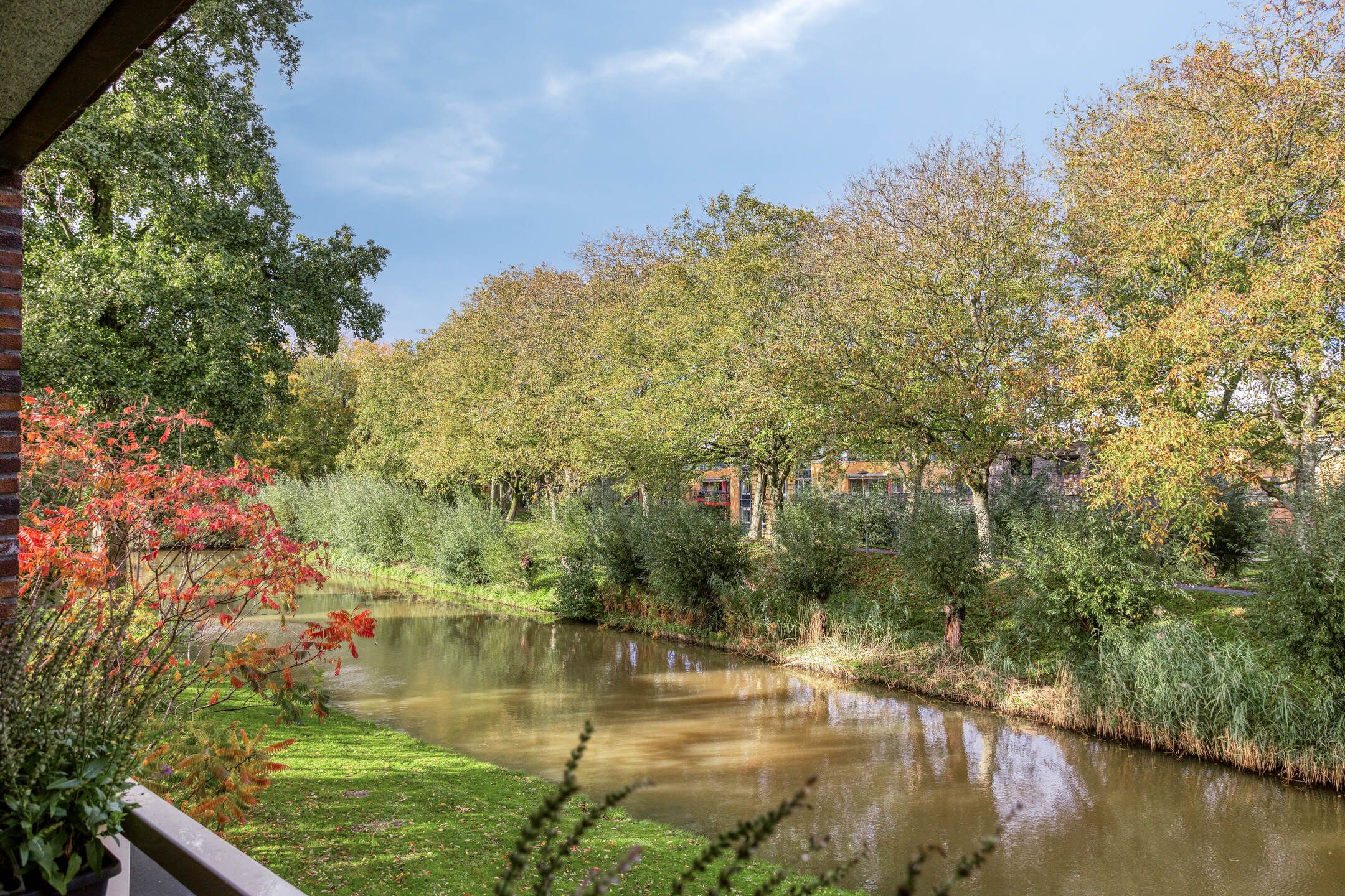 Photo 24 of Koningstraat 422