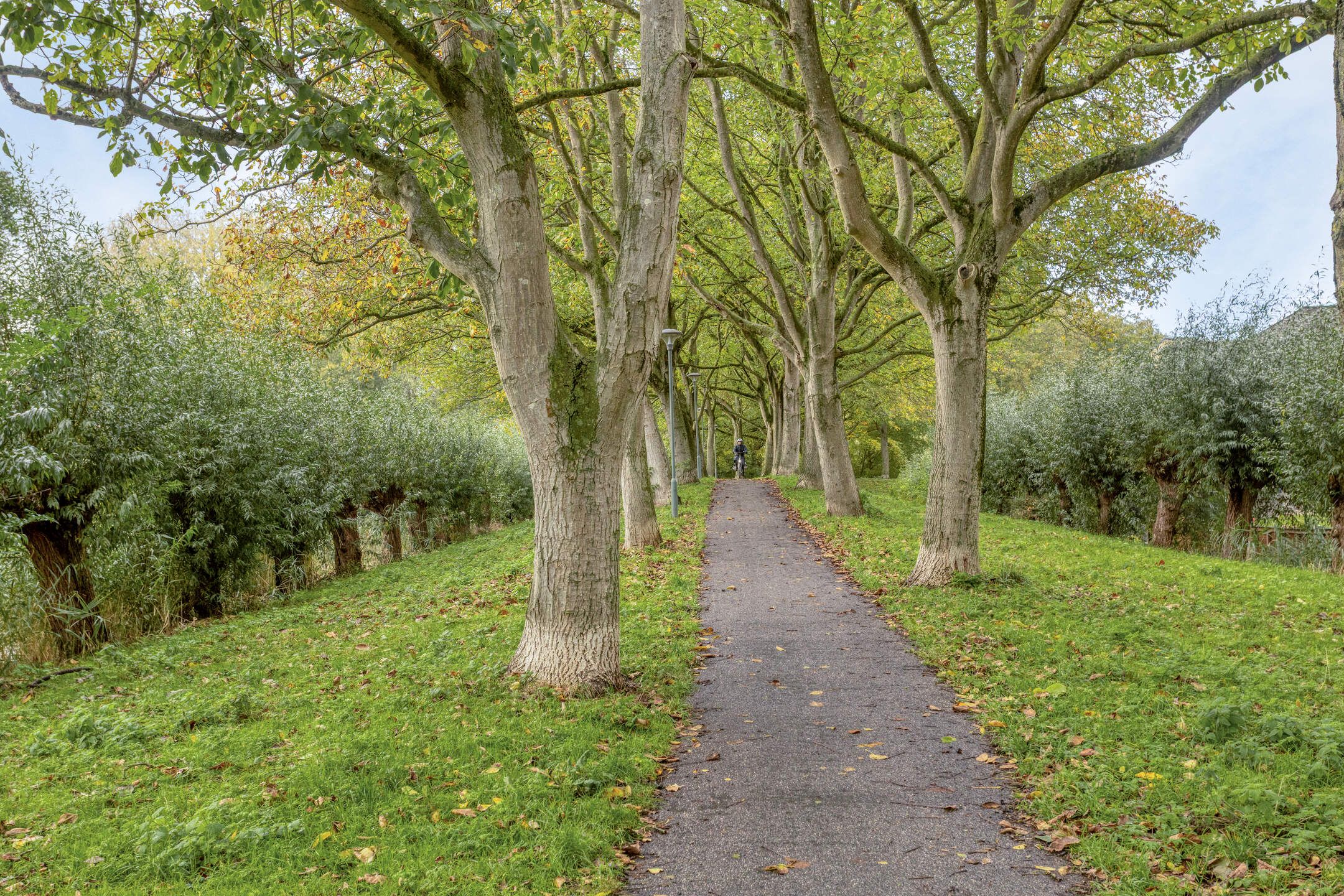Photo 36 of Koningstraat 422