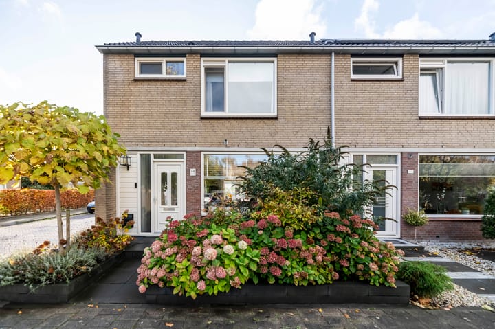 Foto 38 van van Marlotstraat 68