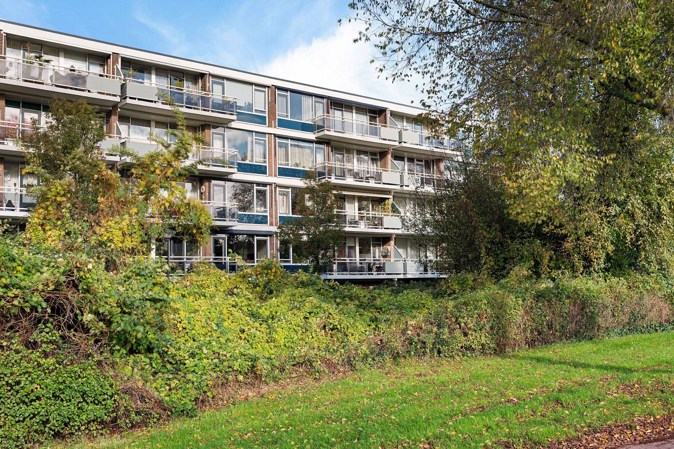 Foto 6 van Laan van Blois 123