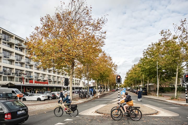 Foto 18 van Tesselschadeplein 21