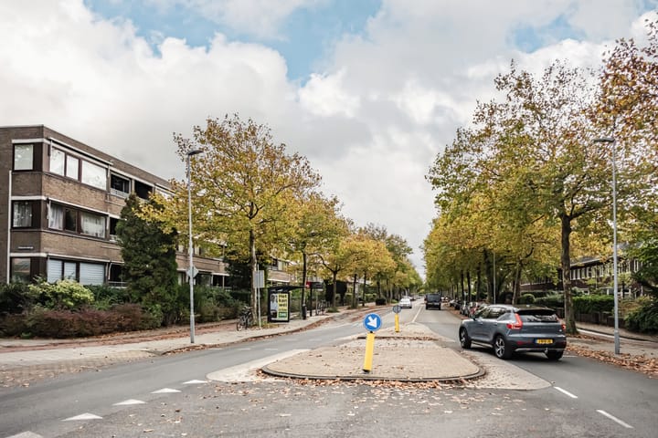 Foto 22 van Tesselschadeplein 21