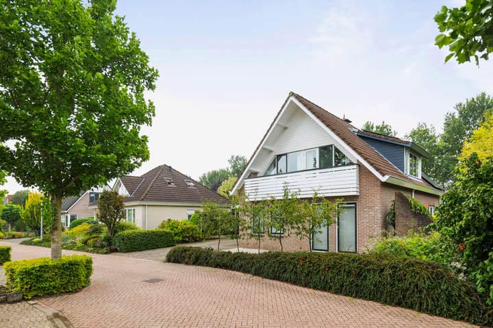 Photo 2 of Neptunus 31