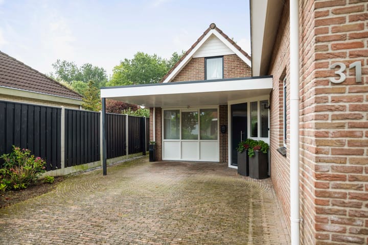 Photo 3 of Neptunus 31