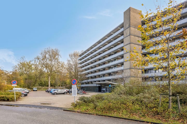 Foto 5 van Cruquiuslaan 156