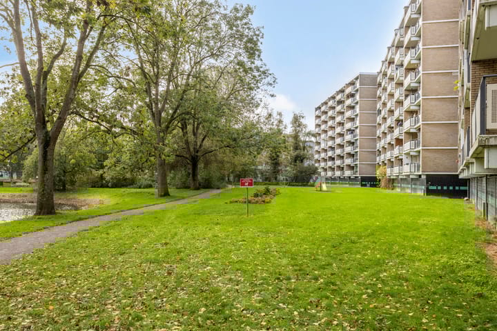 Foto 26 van Cruquiuslaan 156