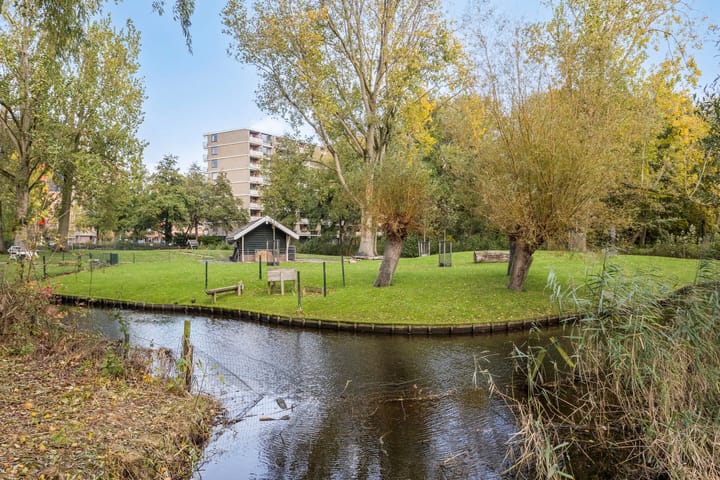 Foto 28 van Cruquiuslaan 156