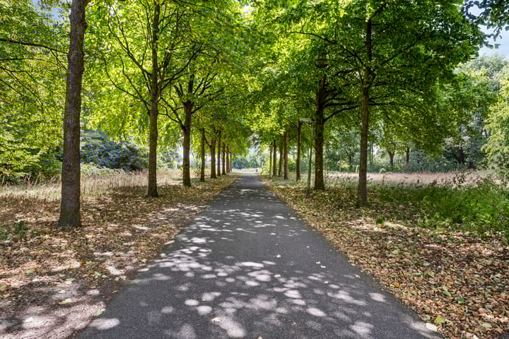 Foto 44 van Ravellaan 18