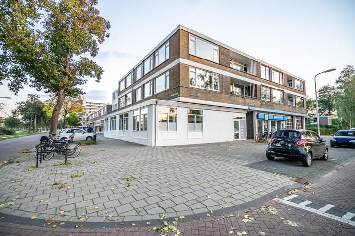 Photo 24 of Gerard Douplantsoen 36