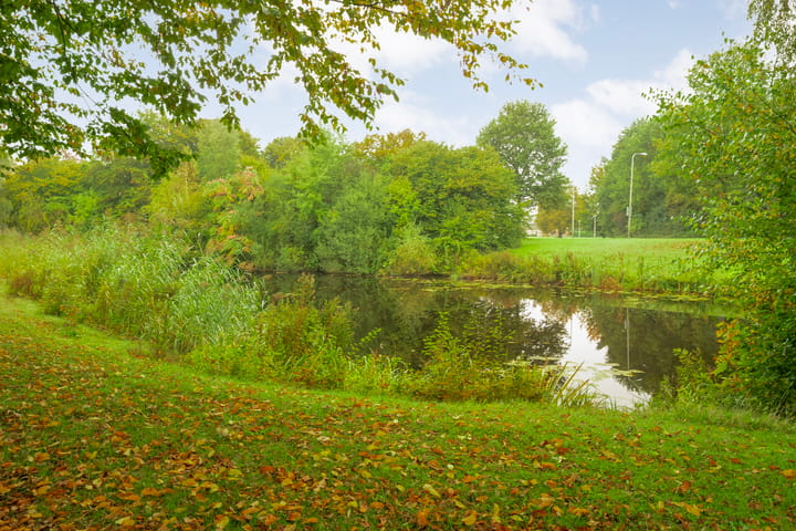 Photo 32 of Dikkersstraat 1-206