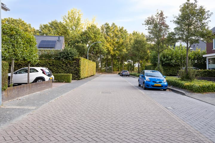 Foto 27 van Koolwitje 6