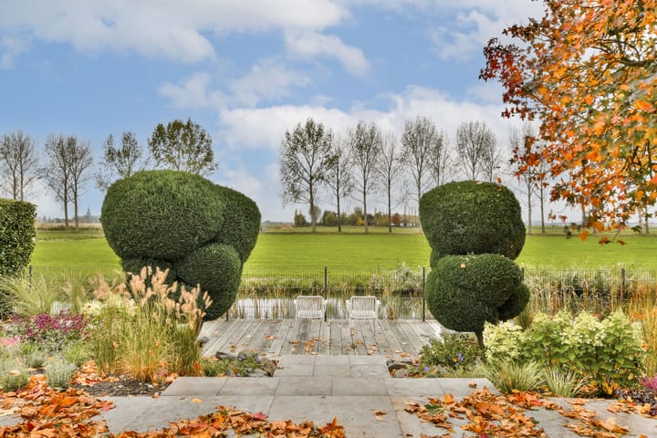 Photo 46 of Branding 14