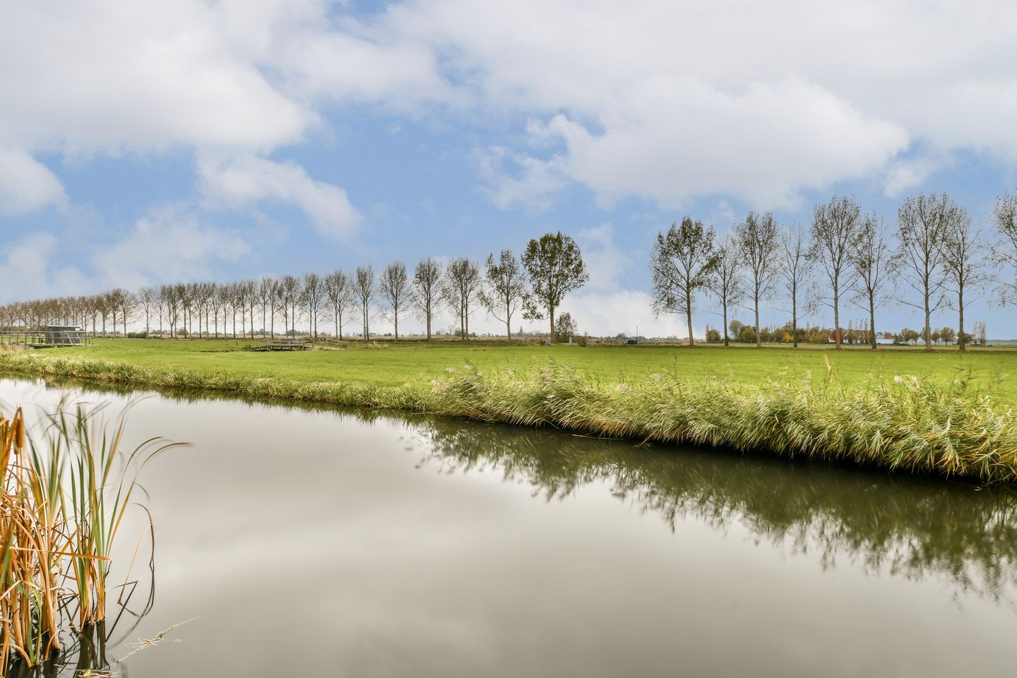 Foto 50 van Branding 14