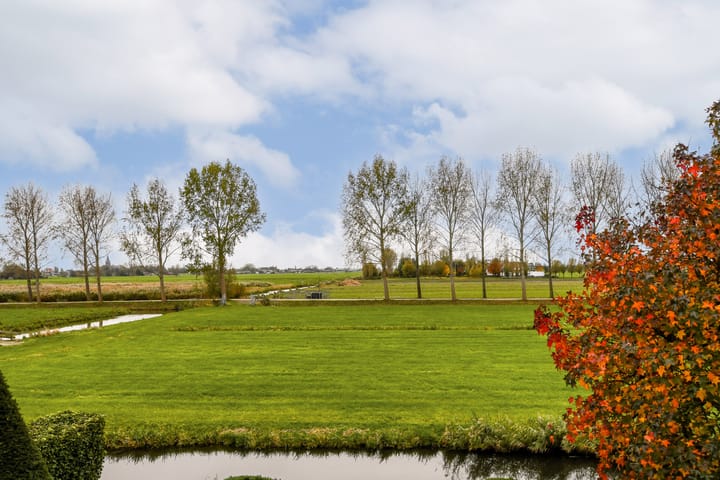 Photo 51 of Branding 14