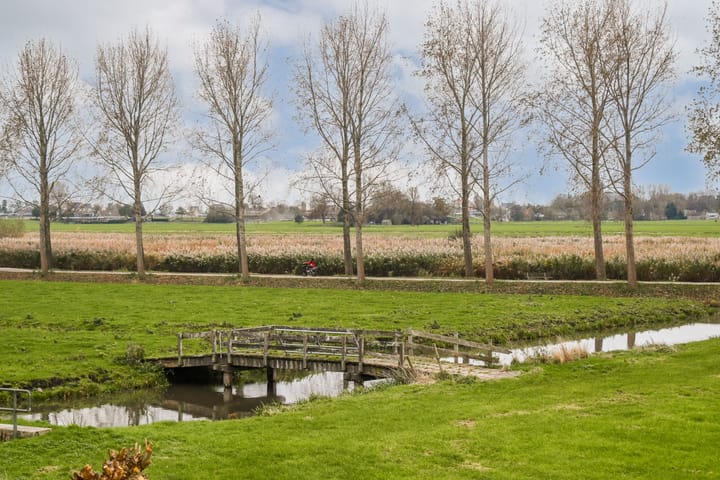 Photo 52 of Branding 14