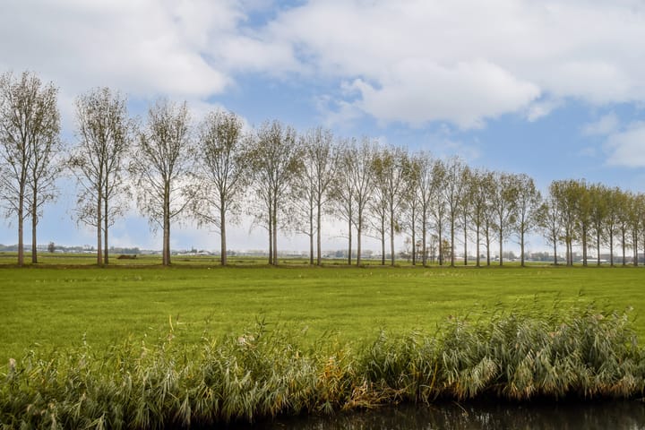 Photo 53 of Branding 14