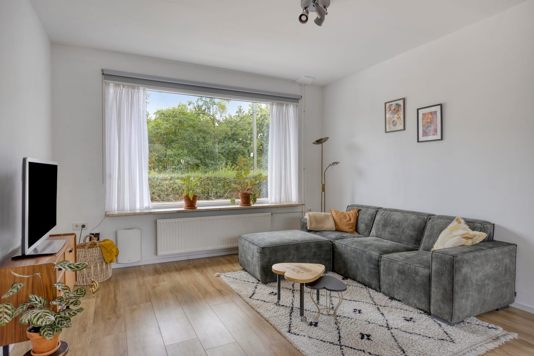 Foto 7 van Hofstraat 151