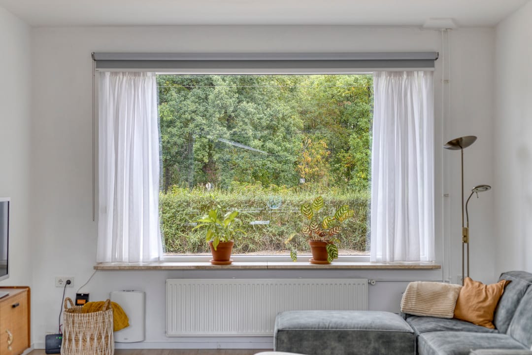 Foto 8 van Hofstraat 151