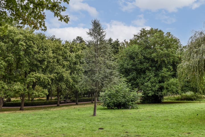 Photo 23 of Vespuccistraat 114-1