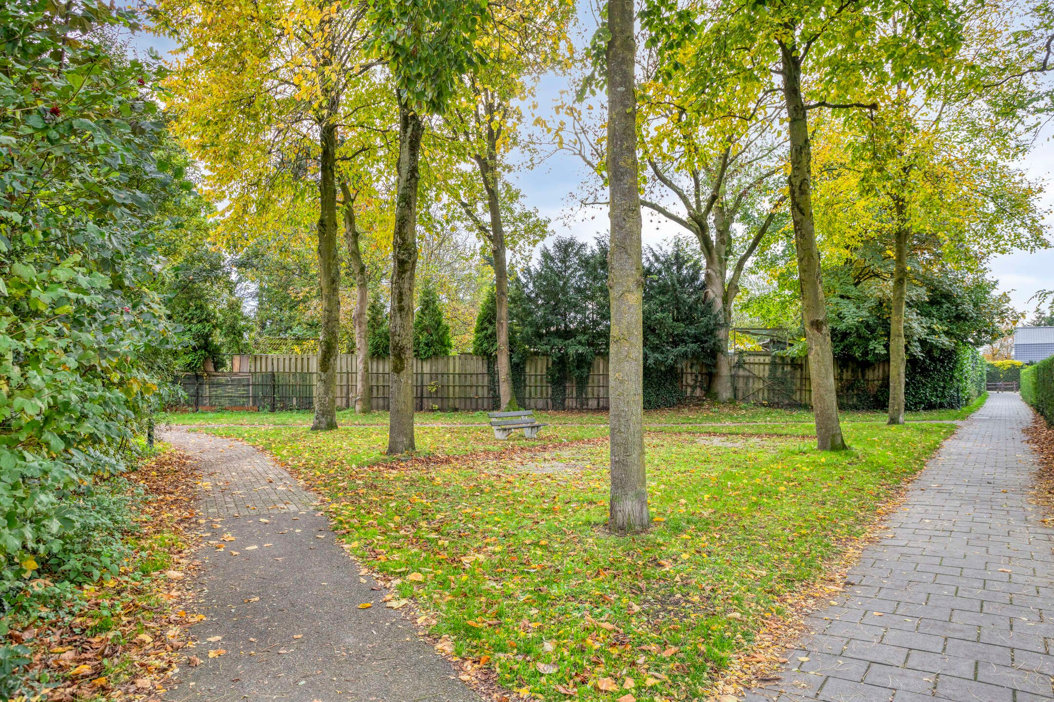 Foto 42 van Melkpad 221