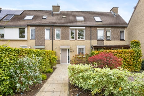 Wethouder Rebellaan thumbnail