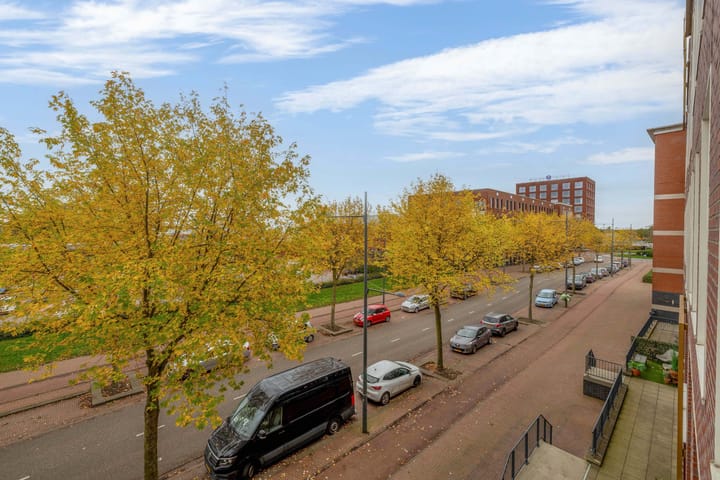 Photo 36 of Suytboulevard 35