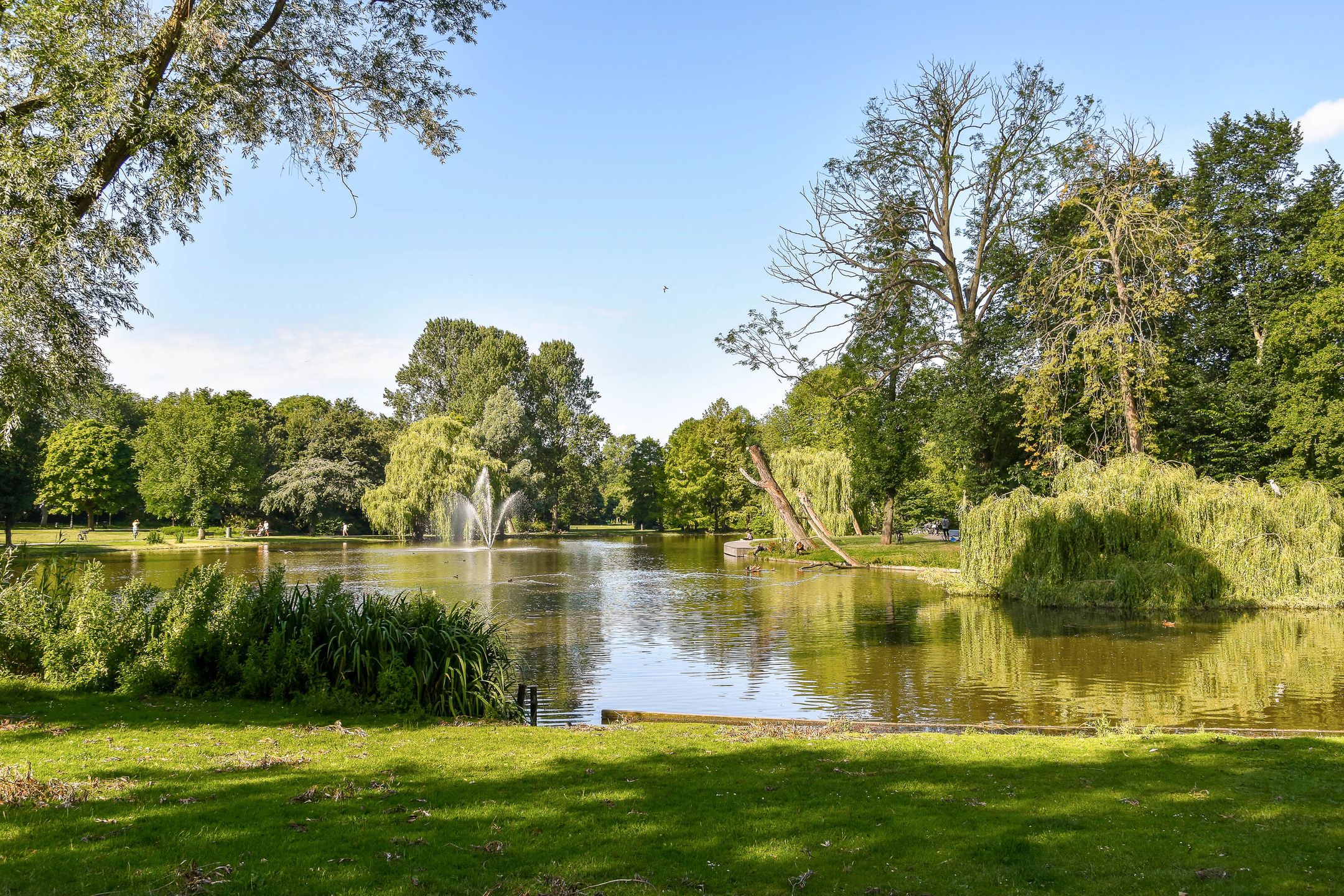 Foto 21 van Boerhaaveplein 27