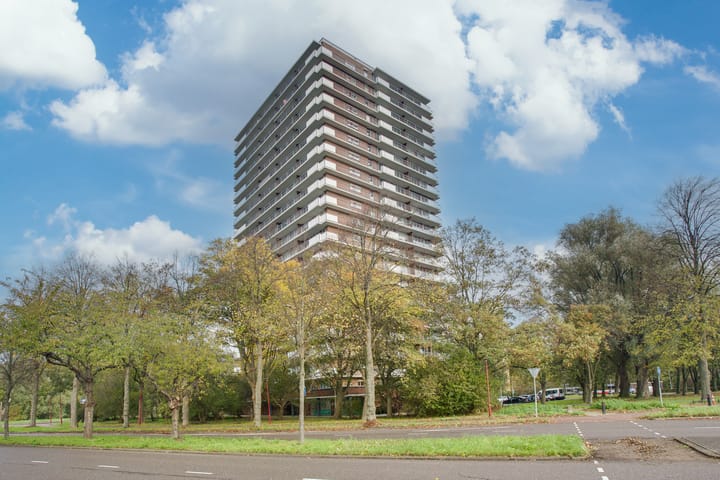 Photo 5 of Dunantstraat 1463