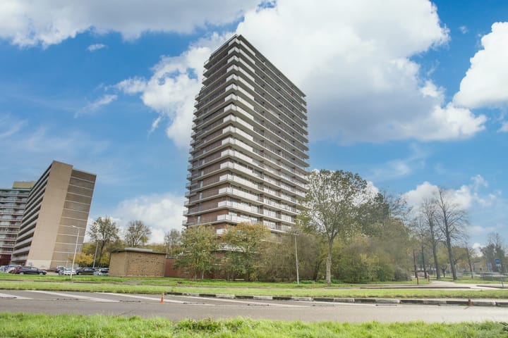 Photo 8 of Dunantstraat 1463