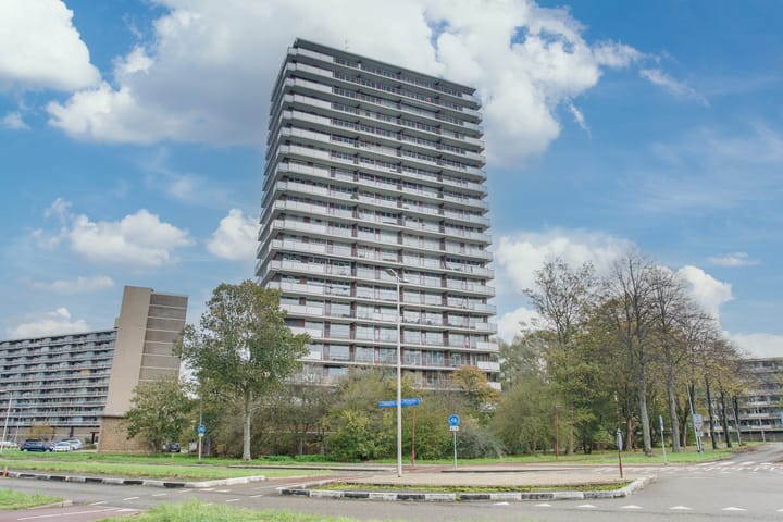 Photo 9 of Dunantstraat 1463