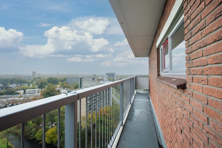 Photo 29 of Dunantstraat 1463