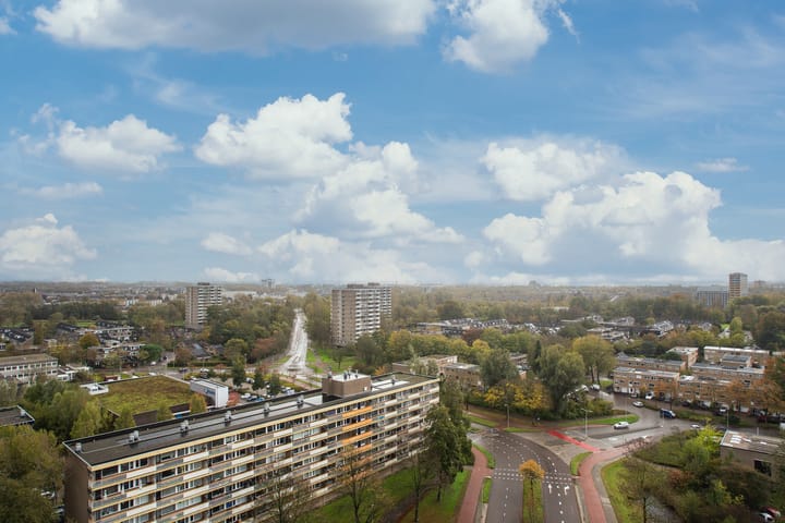 Photo 30 of Dunantstraat 1463