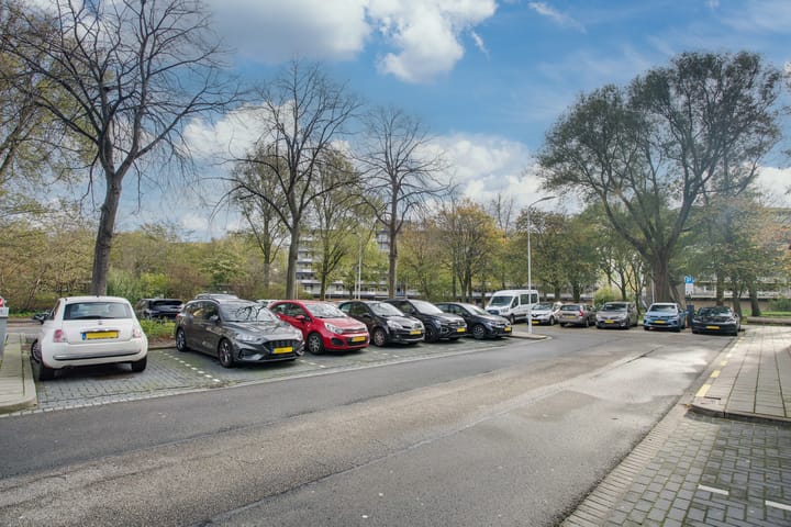 Photo 45 of Dunantstraat 1463