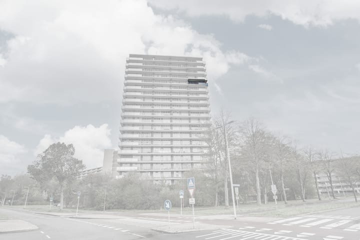 Photo 48 of Dunantstraat 1463