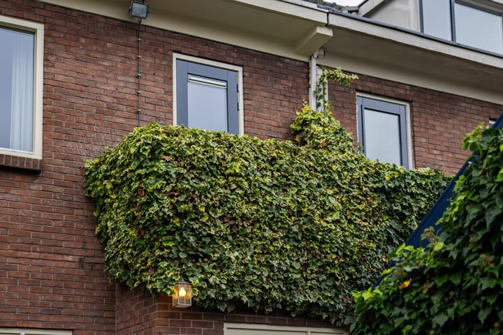 Photo 18 of Van Doetinchemstraat 7