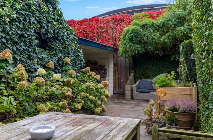 Photo 19 of Van Doetinchemstraat 7