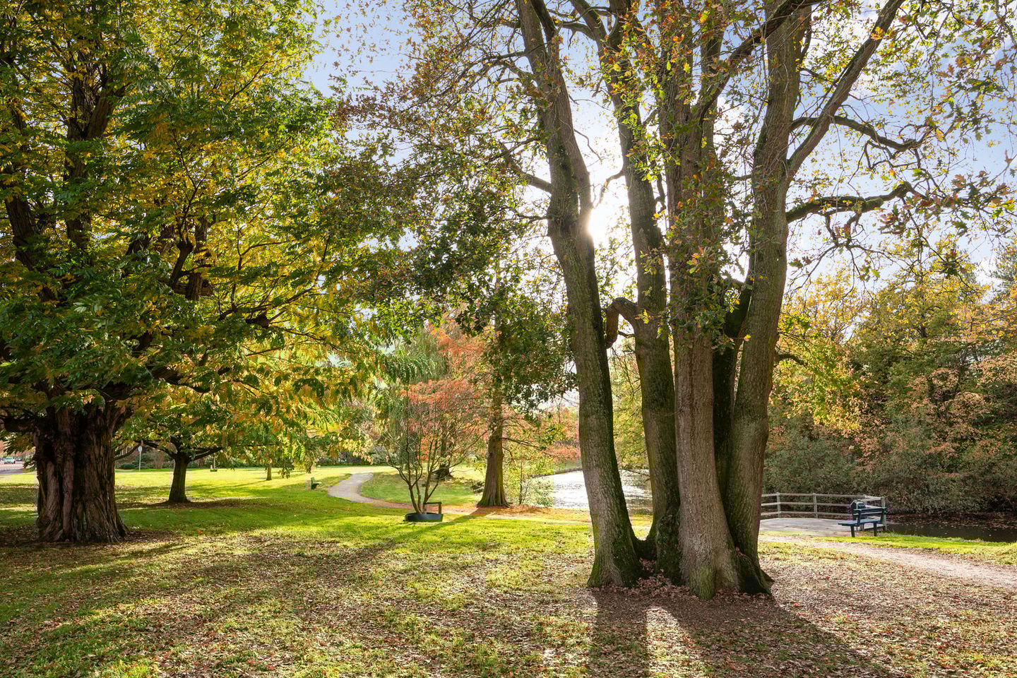 Foto 65 van Van Voorst tot Voorststraat 26