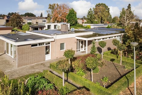 undefined main image