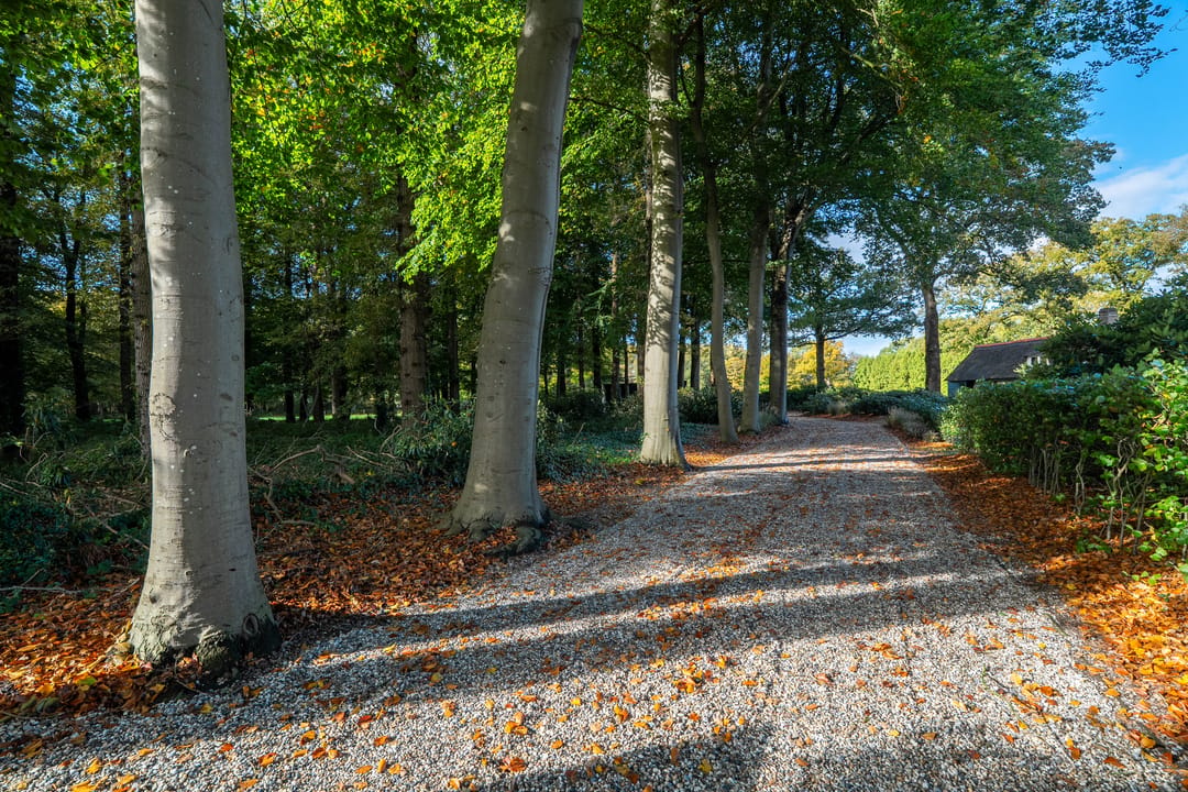 Foto 16 van Beilerweg 22