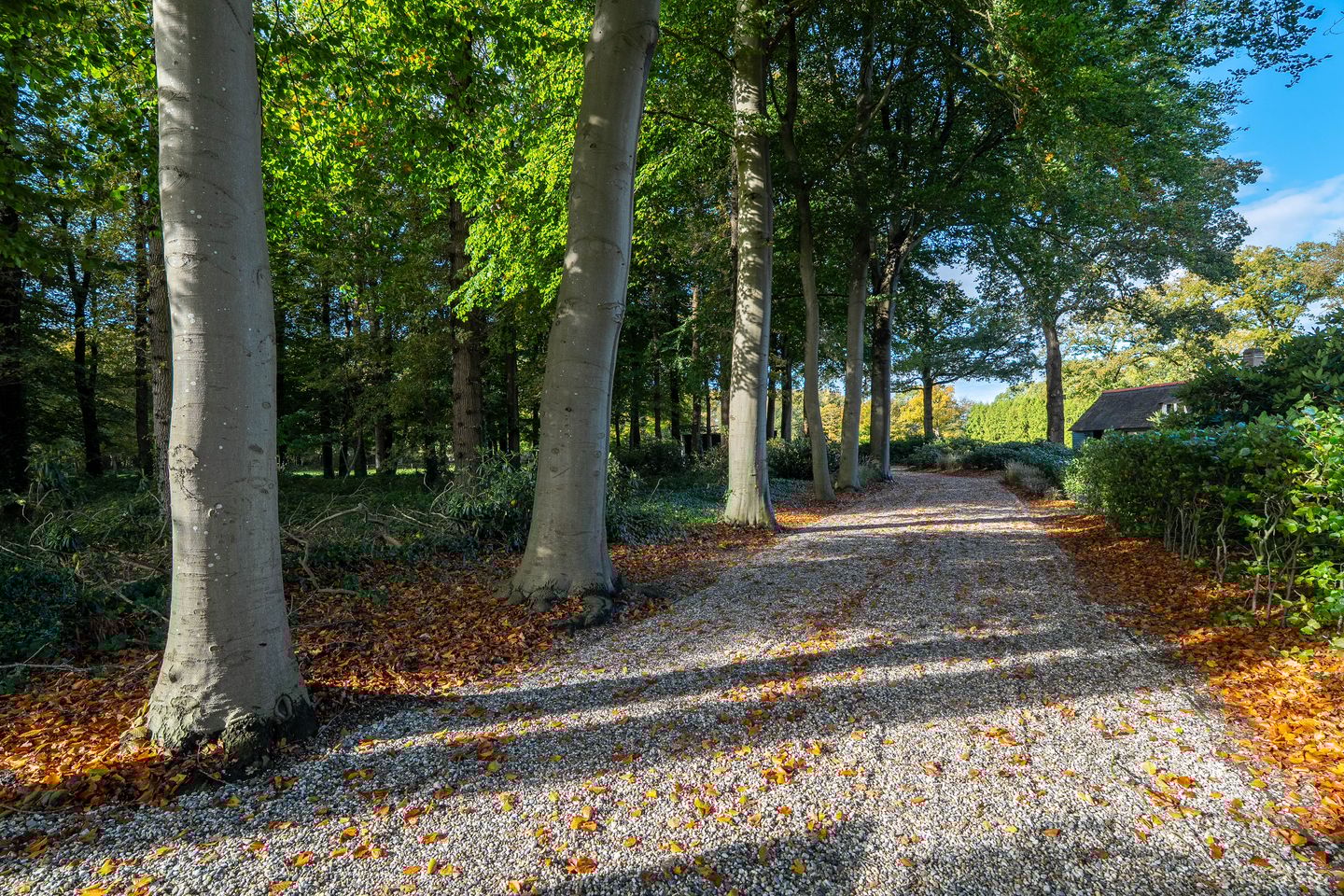 Foto 14 van Beilerweg 22