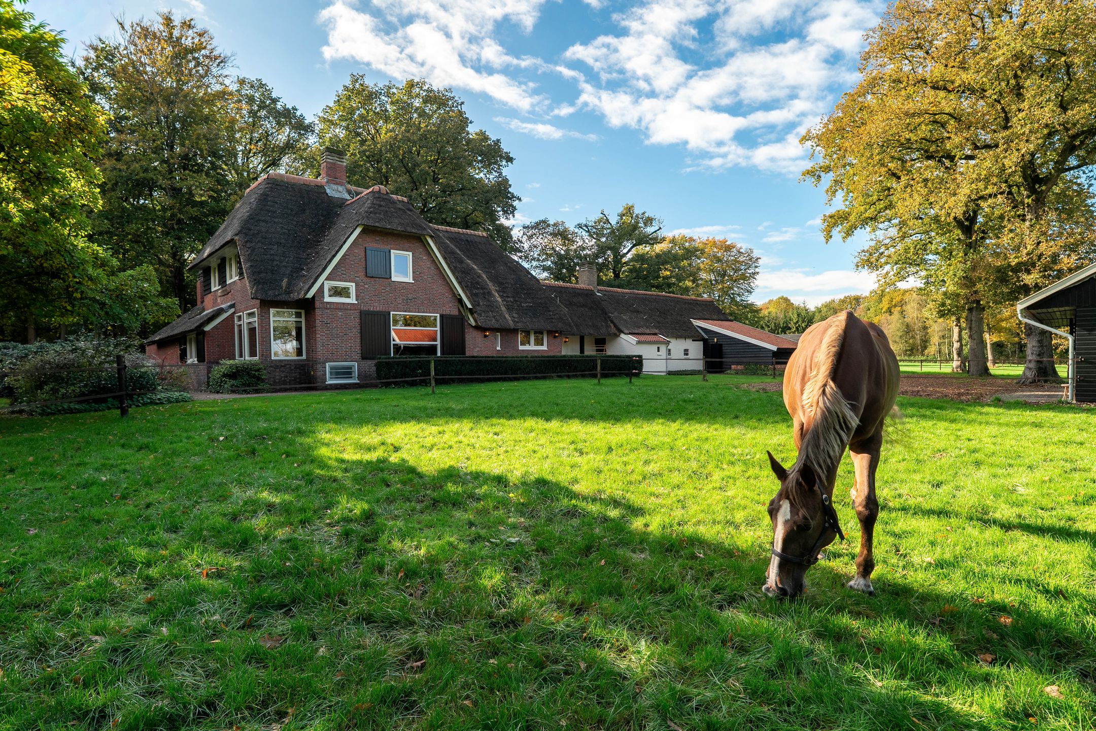 Foto 57 van Beilerweg 22