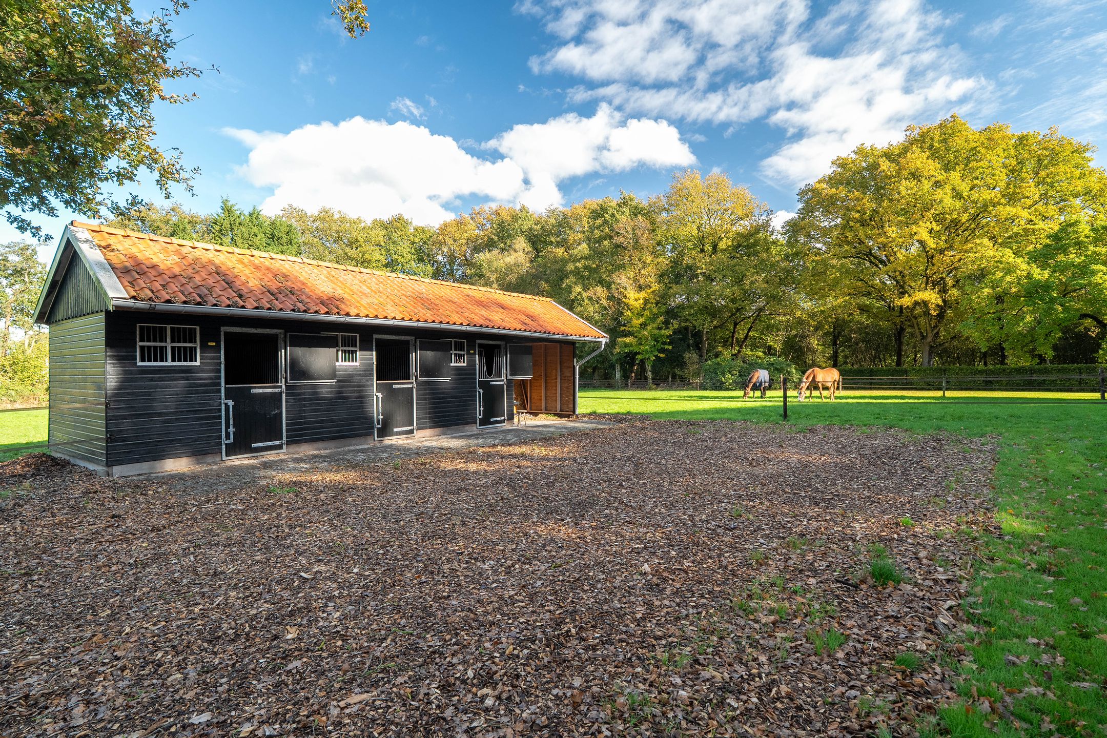 Foto 60 van Beilerweg 22